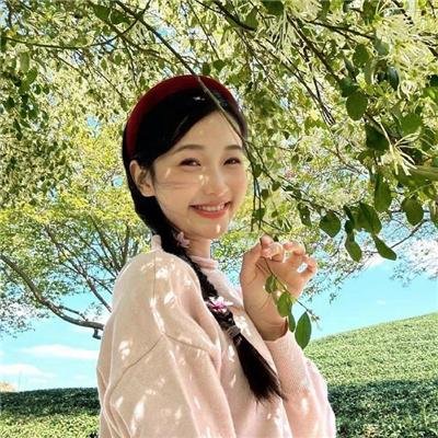 灵域第六季