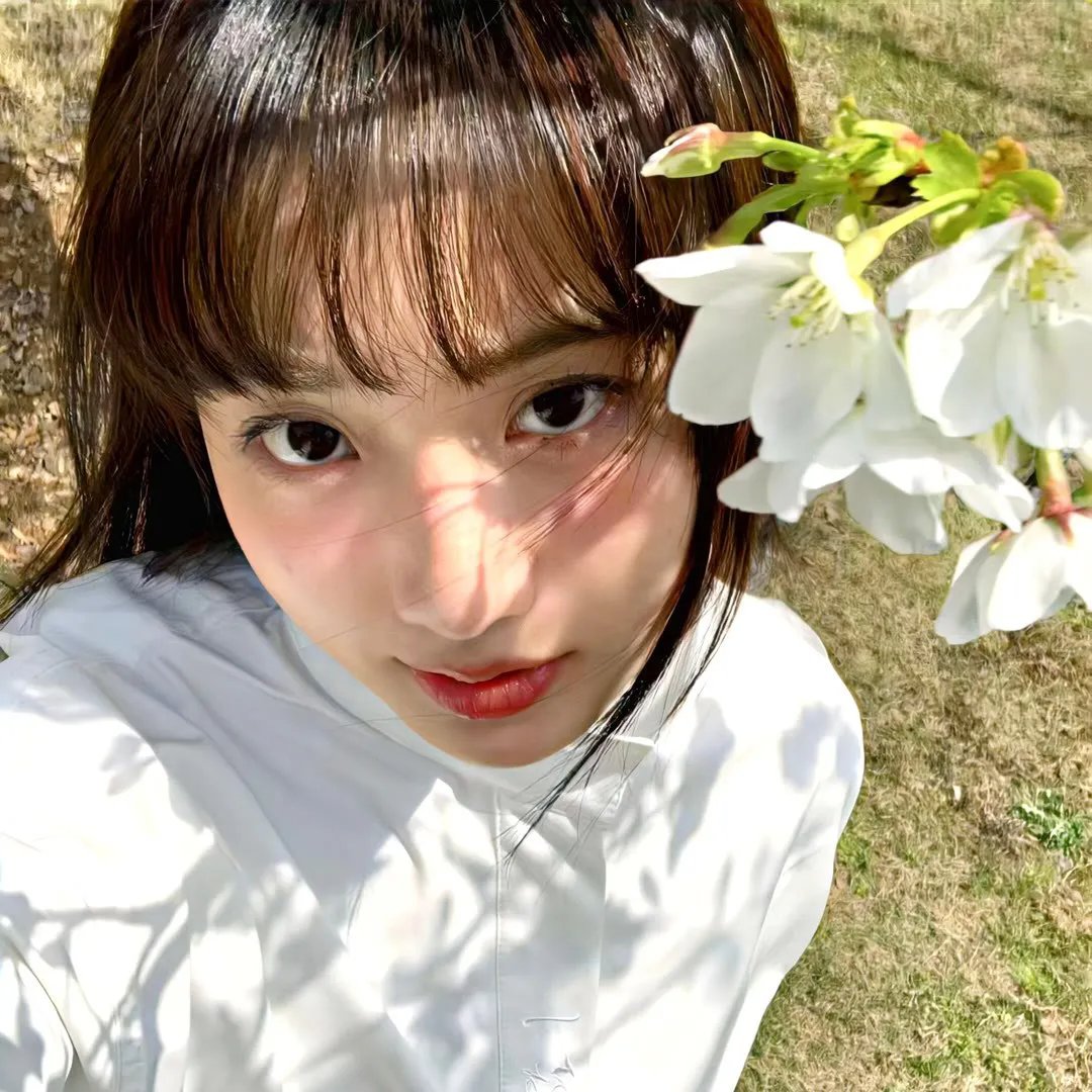 紫罗兰永恒花园 剧场版